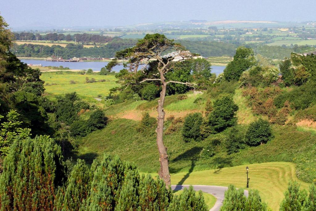 Brandon House Hotel New Ross Esterno foto